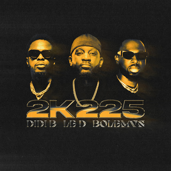 Le D ft Didi B ft Bolémvn – 2k225