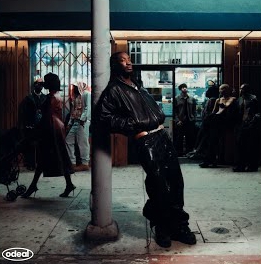 Odeal ft Wizkid – Nights In The Sun